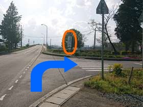 孝観堂整体院までの道案内(陸橋、NOSAI岩手看板前)の画像