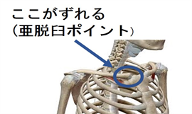 鎖骨の画像